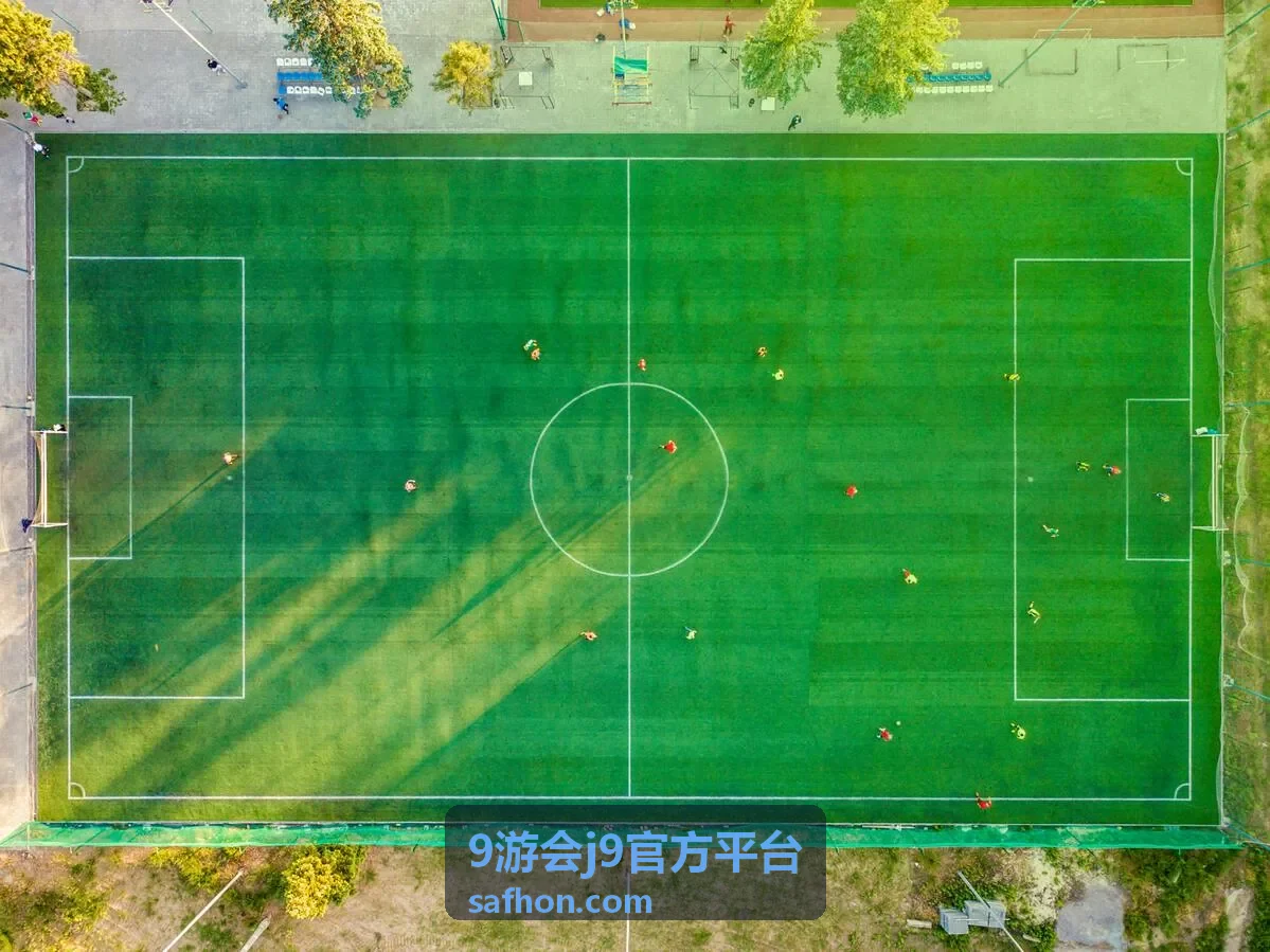 9游会j9官方平台合作对接流程的进度跟进示意